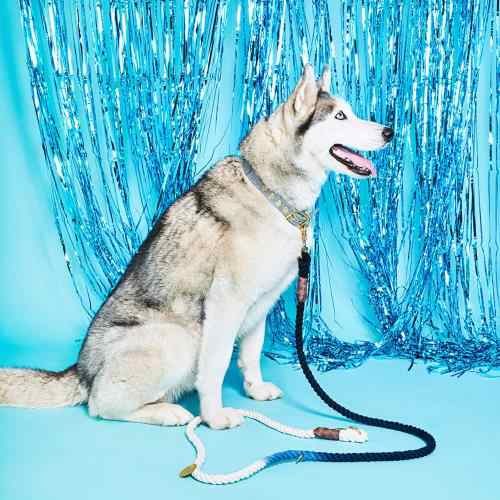 Found My Animal - インディゴオンブルコットンロープ犬用リード (小) - 高耐久犬用トレーニングリード - 調節可能な真鍮製のロック可能なカラビナ - 手作りの編み込み犬用リードロープ - 米国製の通販は