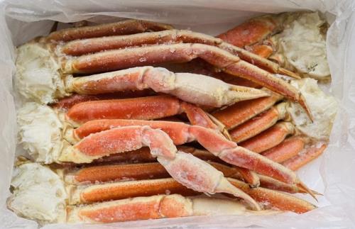 訳有ズワイシュリンク2k　5肩 ずわいがに 冷凍！ ズワイ 圧巻の2kg前後 冷凍 かに カニ 蟹 ずわいがに　ずわい蟹　ズワイガニの通販は