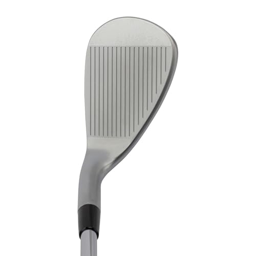 キャスコ(Kasco) ドルフィンウェッジ セミグースネック DW-125G N.S.PRO 950GH neo Wedge 58°