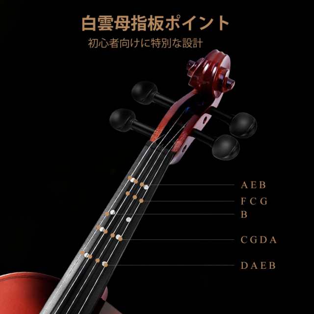 楽天市場】EASTAR バイオリン 初心者 指板マーク スプルース材