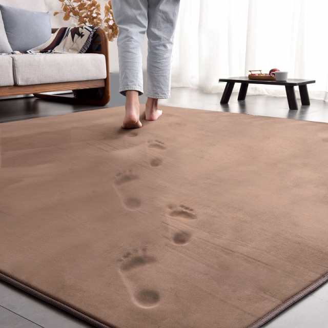ラグ カーペット 低反発 ラグマット 3畳 厚手15mm 190x240cm 滑り止め付 洗える 防音 床暖房 ホットカーペット対応 防ダニ 抗菌 フランネル ウレタン 厚い じゅうたん 無地・ブラウン AICOMRI