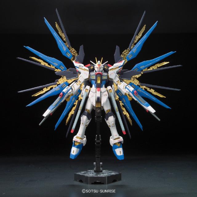 RG 機動戦士ガンダムSEED DESTINY ZGMF-X20A ストライクフリーダム