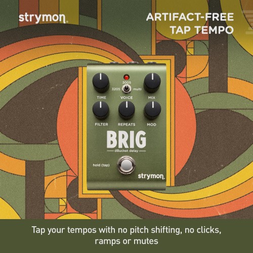 Strymon/BRIG ブリッグ ディレイ ストライモン