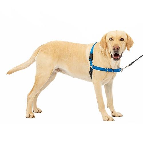PetSafe イージーウォークハーネス (L, ロイヤルブルー＆ネイビー)
