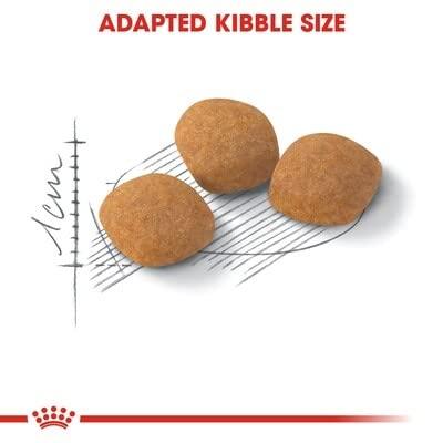 ロイヤルカナン FHN プロテイン エクシジェント 成猫用 4kg_1