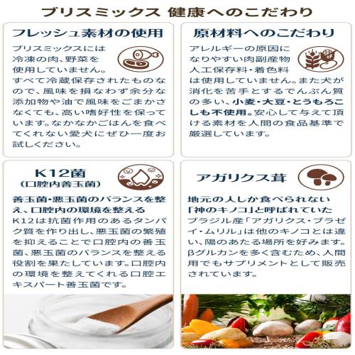 ブリスミックス グレインフリーサーモン素粒子6kg