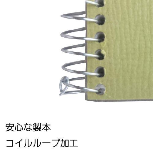 マルマン スケッチブック F4 オリーブシリーズ 画用紙 厚口 20枚 S84X40 40冊入_5