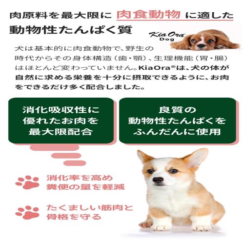 キアオラ ドッグフード 子ヒツジ＆年魚 5kg
