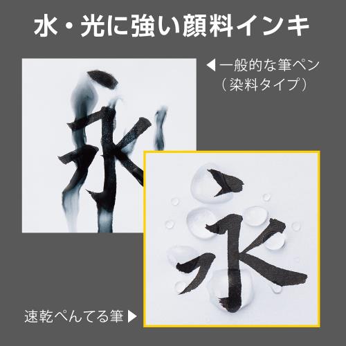 ぺんてる 筆ペン 速乾 ぺんてる筆 中字 10本 XFPD5L_5