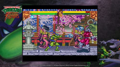 Teenage Mutant Ninja Turtles Cowabunga Collection（輸入版：北米