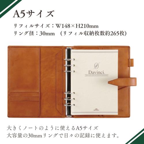 レイメイ藤井 ダヴィンチ グランデ ロロマクラシック システム手帳 A5サイズ リング30mm ブラウン DSA1162C_7