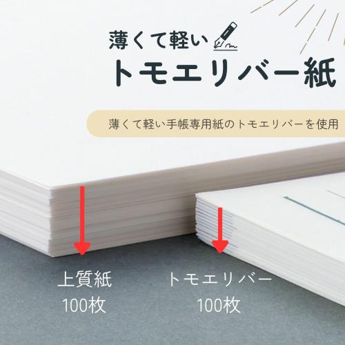 レイメイ藤井 手帳 システム手帳 リフィル 2026 A5 ダヴィンチ デイリー DAR2610 2025年 12月始まり_4