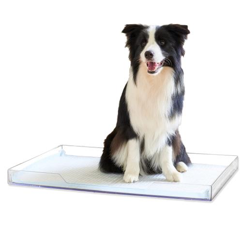 OFT クリアレット 2 L メッシュトレーセット メッシュ丸穴タイプの通販は 13,939円