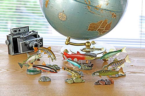 カロラータ 日本の淡水魚 立体図鑑 (10種 / 解説書・スタンド付き