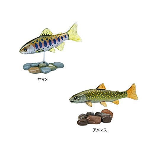 【人気商品】カロラータ 日本の淡水魚 立体図鑑 (10種 / 解説書・スタンド付 カロラータ 日本の淡水魚 立体図鑑 (10種 / 解説書・スタンド付き