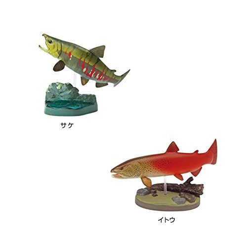 カロラータ 日本の淡水魚 立体図鑑 (10種 / 解説書・スタンド付き