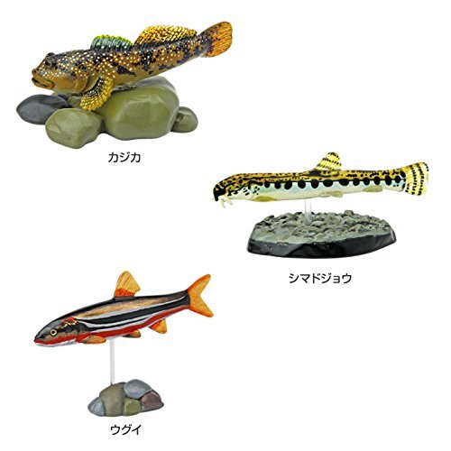 【人気商品】カロラータ 日本の淡水魚 立体図鑑 (10種 / 解説書・スタンド付 カロラータ 日本の淡水魚 立体図鑑 (10種 / 解説書・スタンド付き