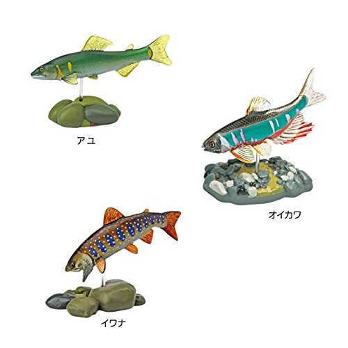カロラータ 日本の淡水魚 立体図鑑 (10種 / 解説書・スタンド付き