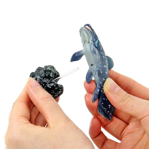 カロラータ 古代魚 フィギュア 立体図鑑 (古代生物 / 7種 / 解説書付き