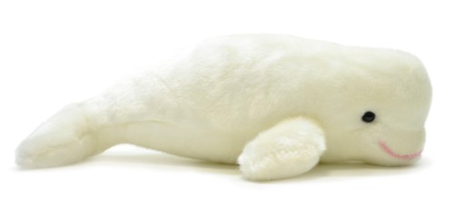 NE☆ AQUA しろくま　ぬいぐるみ Amazon.co.jp: AQUA ぬいぐるみ マリン しろくまくん S 00180212