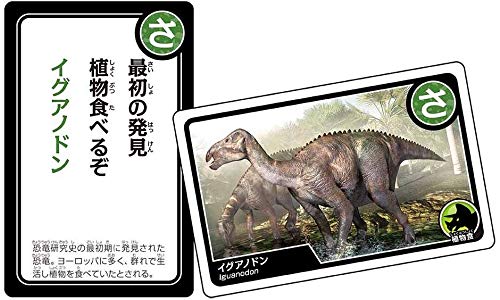 デラックス恐竜ボードゲームカルタ_8