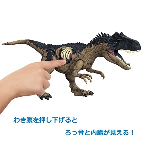 マテル ジュラシックワールド(JURASSIC WORLD) 新たなる支配者 ダメージ! ほえるアロサウルス 全長:約50？ 4才~ HFK06 ベージュ 大_2