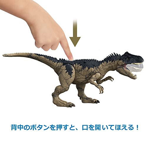 マテル ジュラシックワールド(JURASSIC WORLD) 新たなる支配者 ダメージ! ほえるアロサウルス 全長:約50？ 4才~ HFK06 ベージュ 大_3