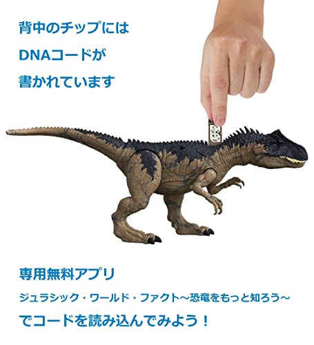 マテル ジュラシックワールド(JURASSIC WORLD) 新たなる支配者 ダメージ! ほえるアロサウルス 全長:約50？ 4才~ HFK06 ベージュ 大_4