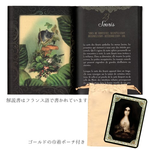 正規品ガブリエル・サンチェスのマドモアゼル・ルノルマンカードルノルマンカードの意味が書かれた日本語用紙付きタロット占い_5