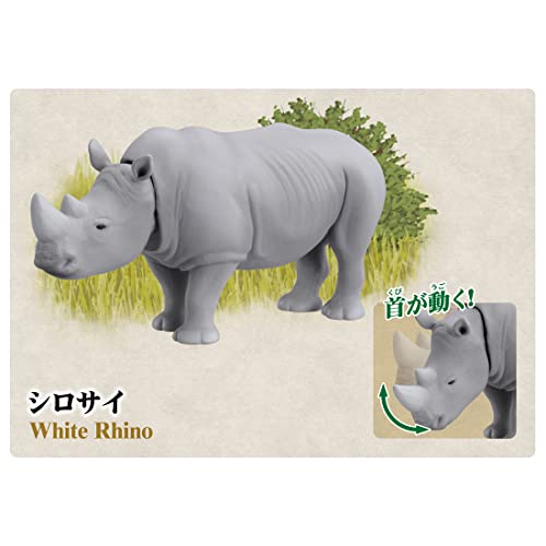タカラトミー 『 アニア 10周年記念メモリアルセット 』 動物 恐竜 リアル 動く フィギュア おもちゃ 3歳以上 玩具安全基準合格 STマーク認証 ANIA TAKARA TOMY_3