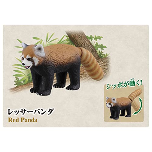 タカラトミー 『 アニア 10周年記念メモリアルセット 』 動物 恐竜 リアル 動く フィギュア おもちゃ 3歳以上 玩具安全基準合格 STマーク認証 ANIA TAKARA TOMY_4