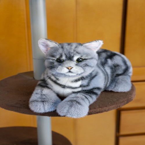 なでなでねこちゃんEX アメショー【撫でると鳴くぬいぐるみ】リアル Amazon.co.jp: トレンドマスター なでなでねこちゃんEX