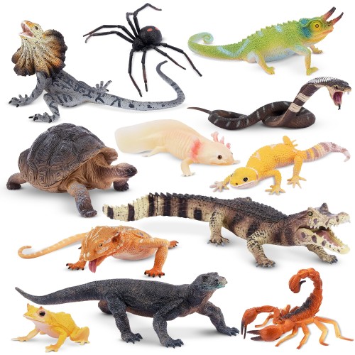TOYMANY 12PCS動物フィギュア 野生動物フィギュアセット リアルな動物模型 動物園主題 人気動物 おもちゃ 玩具 誕生日プレゼント 飾り物 クリスマス 新年 六歳以上