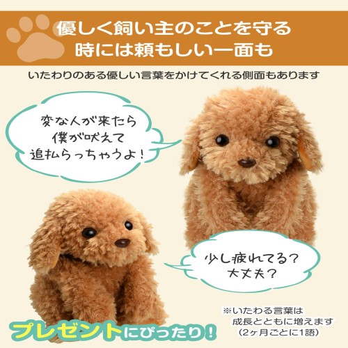 音声認識 ぬいぐるみ 【 おしゃべりトイプードル】かわいい 音声認識ぬいぐるみ おしゃべりトイプードル- ショップチャンネル