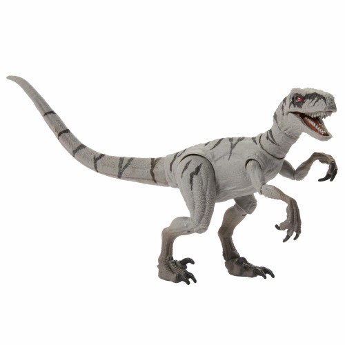 マテル ジュラシックワールド(JURASSIC WORLD) ハモンドコレクション アトロキラプトル（ゴースト） フィギュア 恐竜 おもちゃ 全長:約17.5cm 8歳から グレー JDJ06