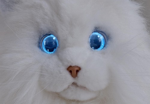 セガフェイブ (SEGA FAVE) KIMIT (キミット) ラグドール (ホワイト