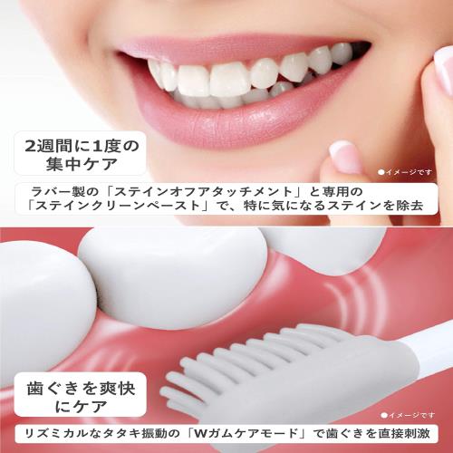 パナソニック 電動歯ブラシ ドルツ シルバー EW-DP53-S