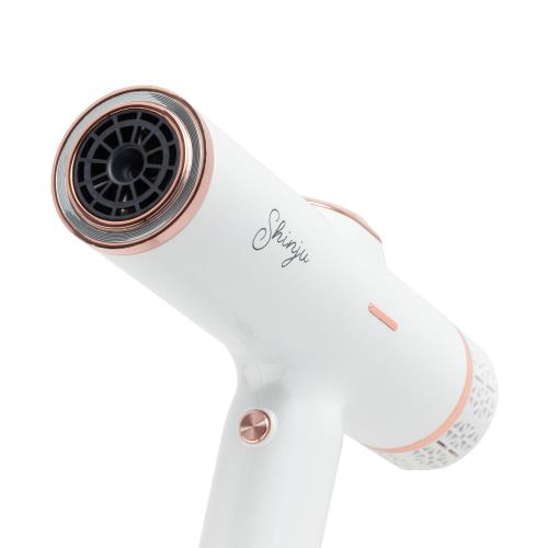 ネクストイノベーション(next innovation) ヘアドライヤー