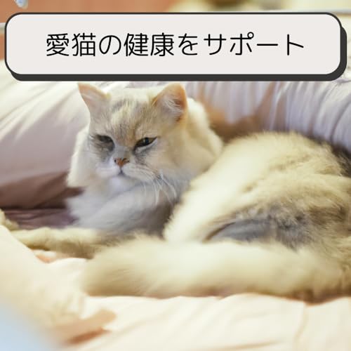 GUDA DRUM Freezbee グーダドラム 専用カバー付き GUDA DRUM Freezbee グーダドラム 専用カバー付き Guda Drum