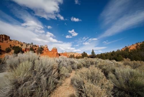 TAMRON 超広角ズームレンズ SP AF10-24mm F3.5-4.5 DiII ソニー用 APS-C専用 B001S