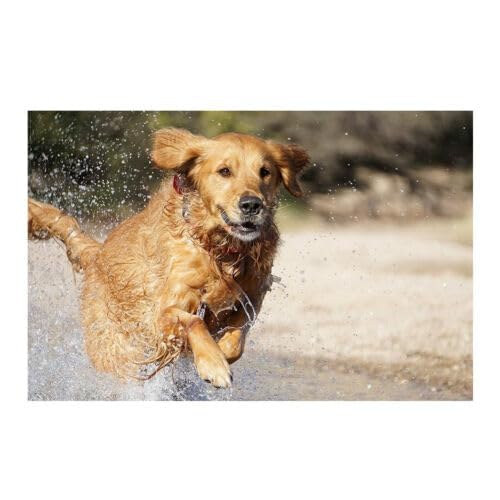 SONY 望遠ズームレンズ E 55-210mm F4.5-6.3 OSS ソニー Eマウント用 APS-C専用 SEL55210