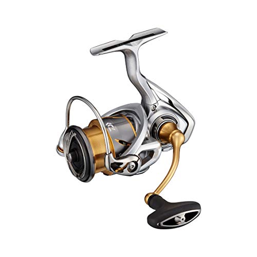 ダイワ(DAIWA) 21 フリームス LT2500