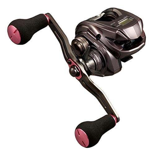 ダイワ(DAIWA) 21 紅牙 IC 150