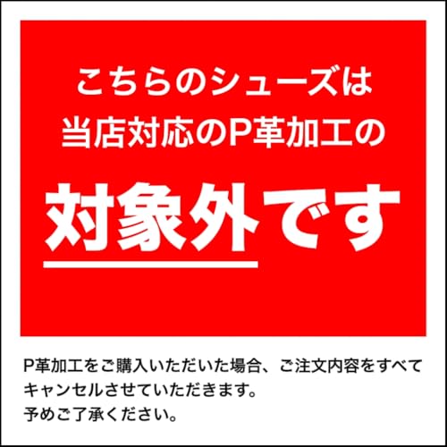 MIZUNO LIGHTREVO TR ホワイト/ホワイト 25.0CM