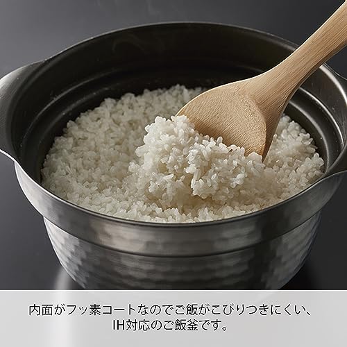 HARIO(ハリオ) ご飯釜 雪平 IH対応 1~3合用 シルバー 雪平 プレゼント ギフト 贈り物 GIS-200_1