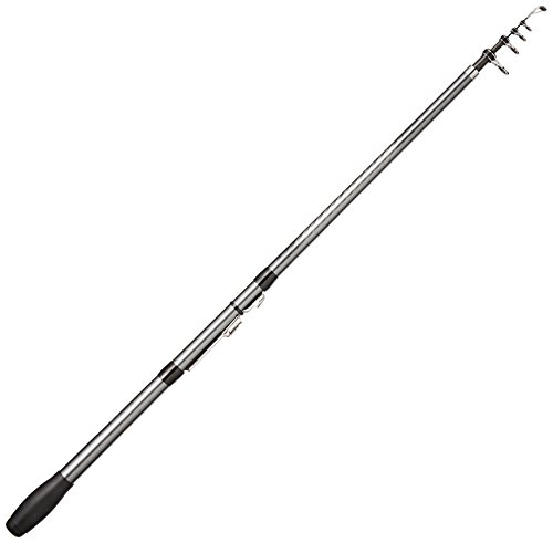 シマノ(SHIMANO) ロッド 投げ竿 17 ホリデースピン ショートモデル (振出) 250JXTS ライトな投げ釣り用 全長2.50m 自重150g