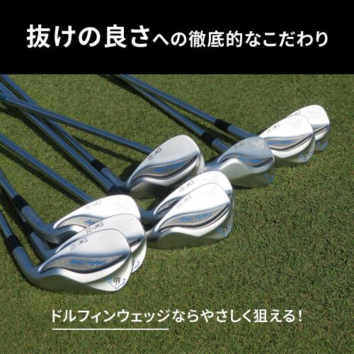 キャスコ(Kasco) ドルフィンウェッジ DW-123 N.S.PRO 950GH neo WEDGE 64