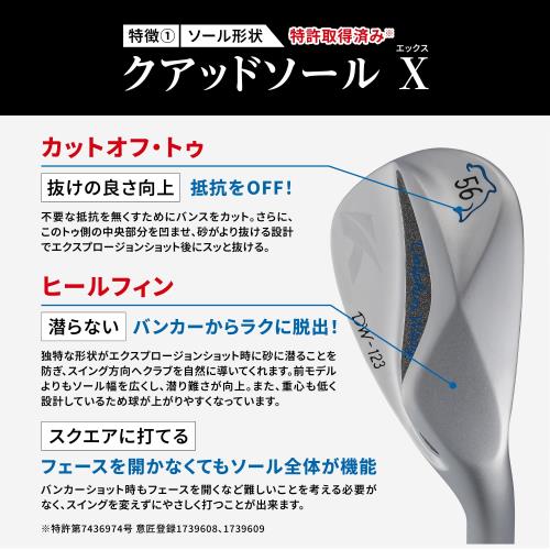 キャスコ(Kasco) ドルフィンウェッジ DW-123 N.S.PRO 950GH neo WEDGE 64