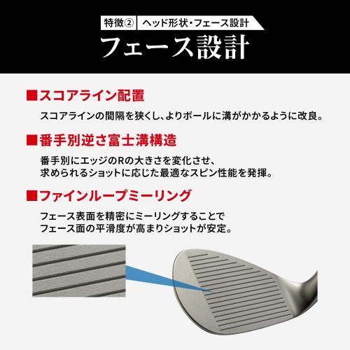 キャスコ(Kasco) ドルフィンウェッジ DW-123 N.S.PRO 950GH neo WEDGE 64