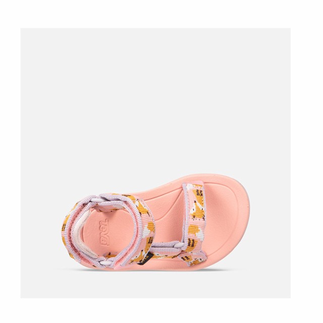 teva hurricane toddler
